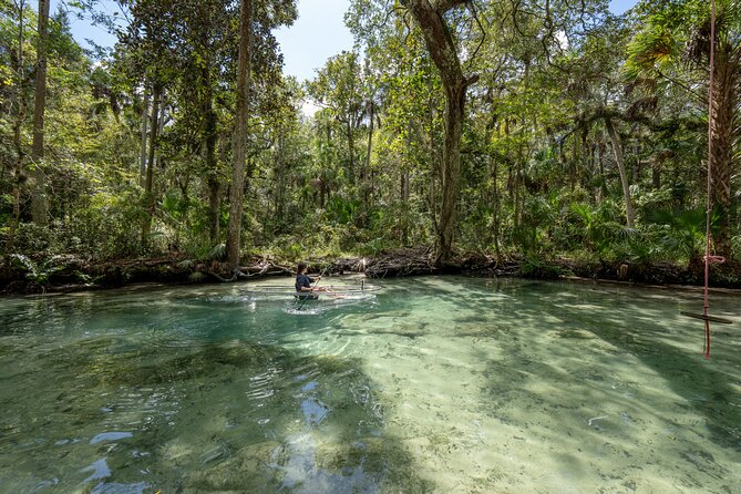 Chassahowitzka River Clear Kayak Springs & Manatee Tours - Starting at Seven Sisters Campground