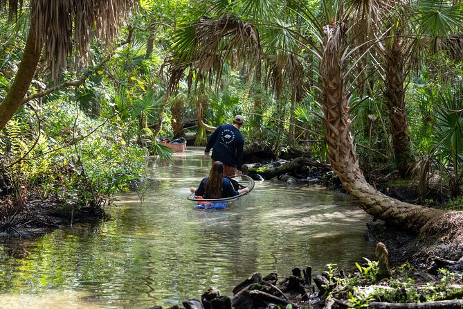 Chassahowitzka River Clear Kayak Springs & Manatee Tours - The Crack, rope swing, and route changes