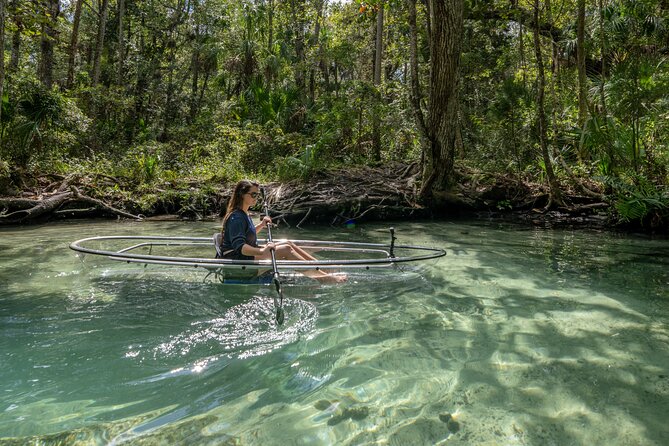 Chassahowitzka River Clear Kayak Springs & Manatee Tours - Paddling toward Seven Sisters Springs