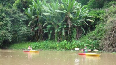 15 km Leisure River Kayaking at Mae Ngat forest