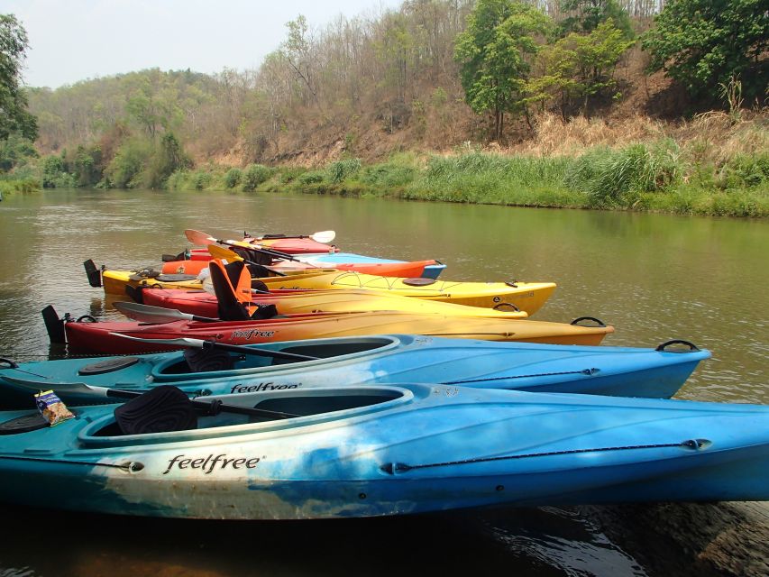 Chiang Mai: 15 km Leisure River Kayaking at Mae Ngat forest - Who will enjoy this river day most
