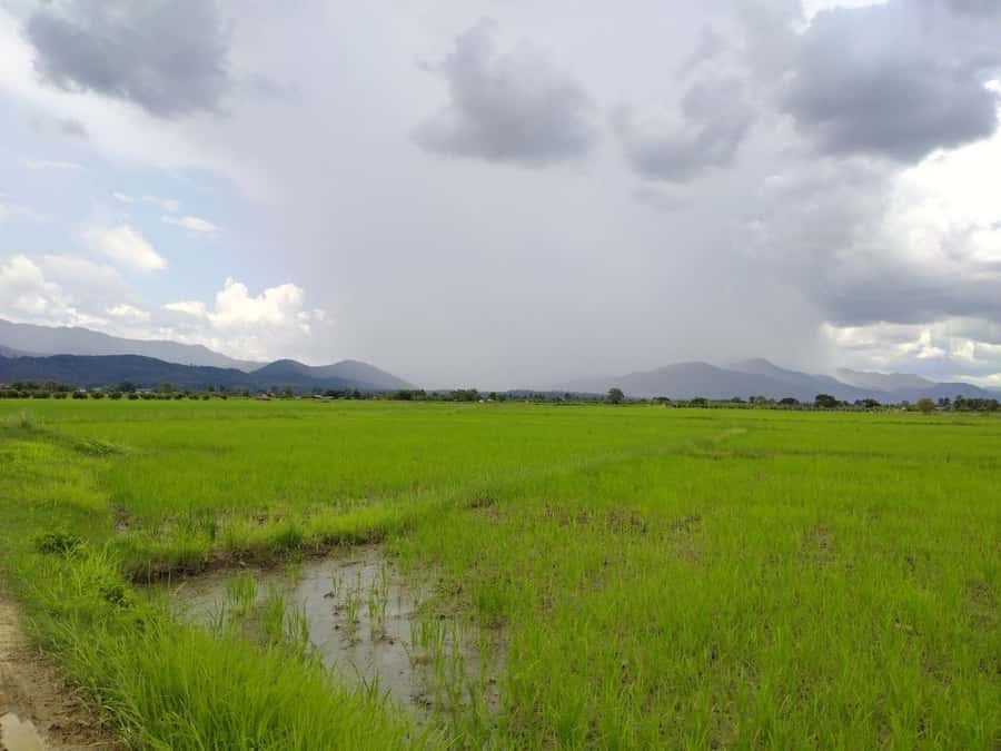 Chiang Mai: 25km Leisure Mountain Biking & Jungle Kayaking - Who should book this outing?
