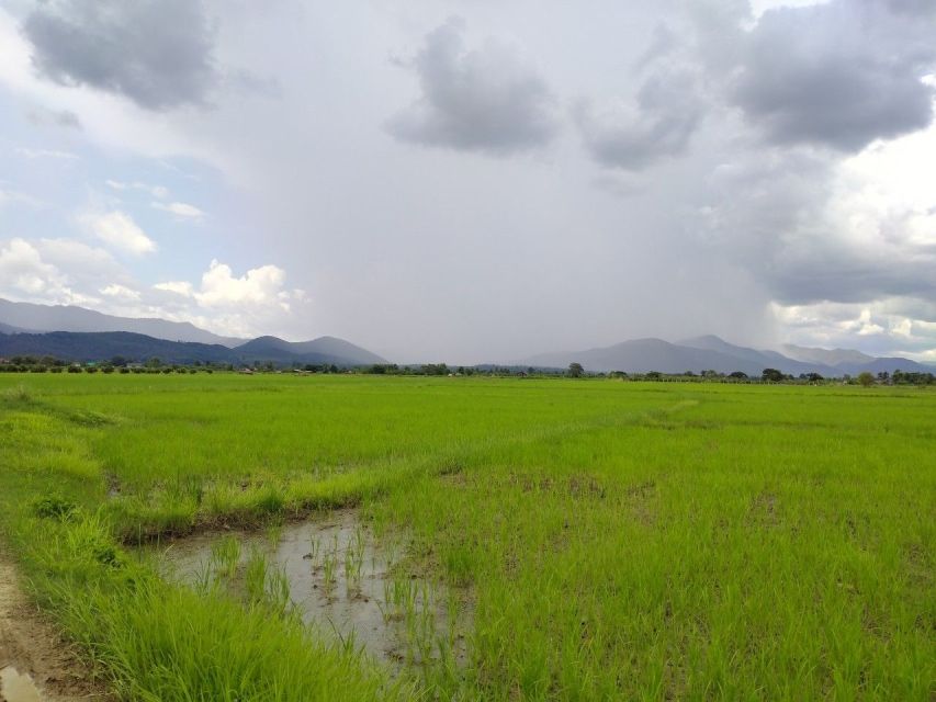 Chiang Mai: 25km Leisure Mountain Biking & Jungle Kayaking - Lunch beside the river
