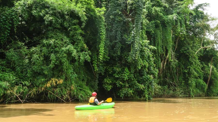 Chiang Mai: Full-Day Chiang Dao Caving & Jungle Kayaking - Chiang Dao Cave: shrines, bats, and narrow passages