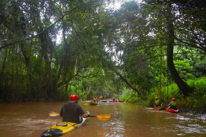Chiang Mai : Kayak the Jungle Rivers of Chiang Dao Valley! - Learning to handle your kayak