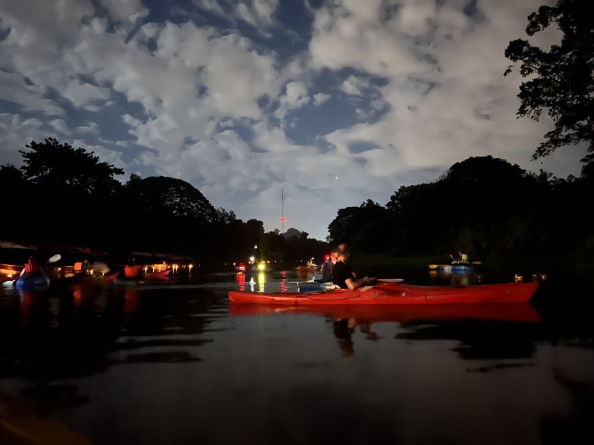 Chiang Mai: Ping River Night Kayaking into City Center - Launching near Wat Taa-Luk after sunset