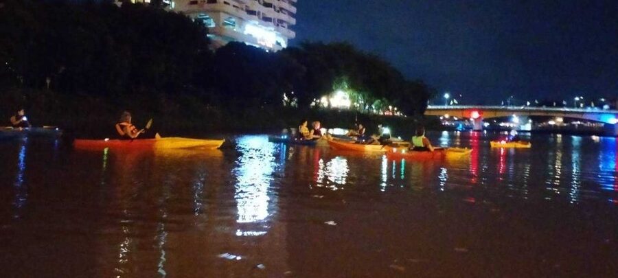 Chiang Mai: Ping River Night Kayaking into City Center - Wildlife, trees, and the softer side of the Ping River