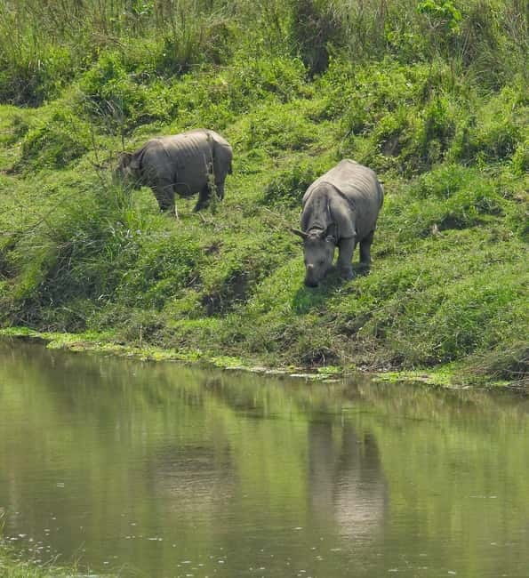 Chitwan: Full-Day Safari Canoeing and Jungle Walk and Jeep - Why this Chitwan day works so well