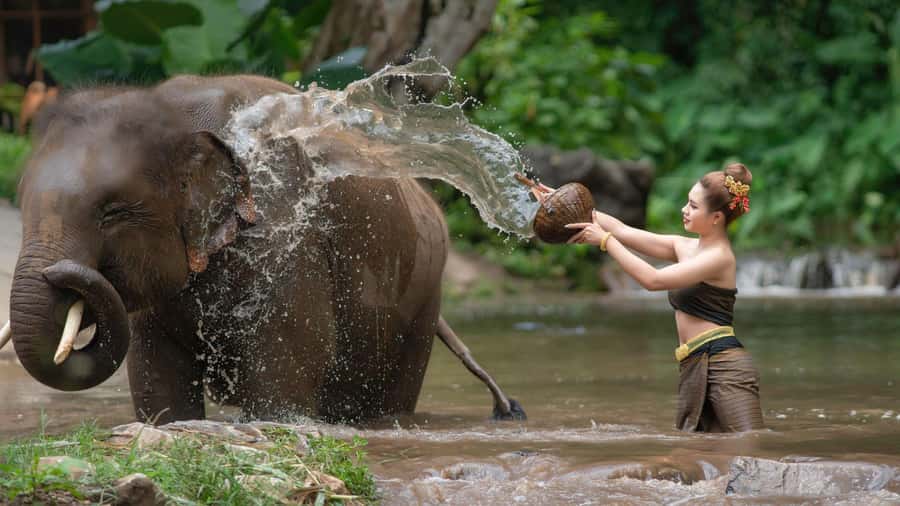 Chitwan: Jungle Safari Tour with Canoe Ride in Forest River - Key points to know before booking
