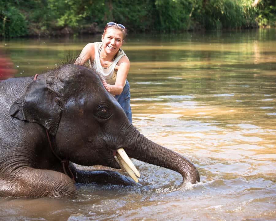 Chitwan: Jungle Safari Tour with Canoe Ride in Forest River - Small details that improve the trip