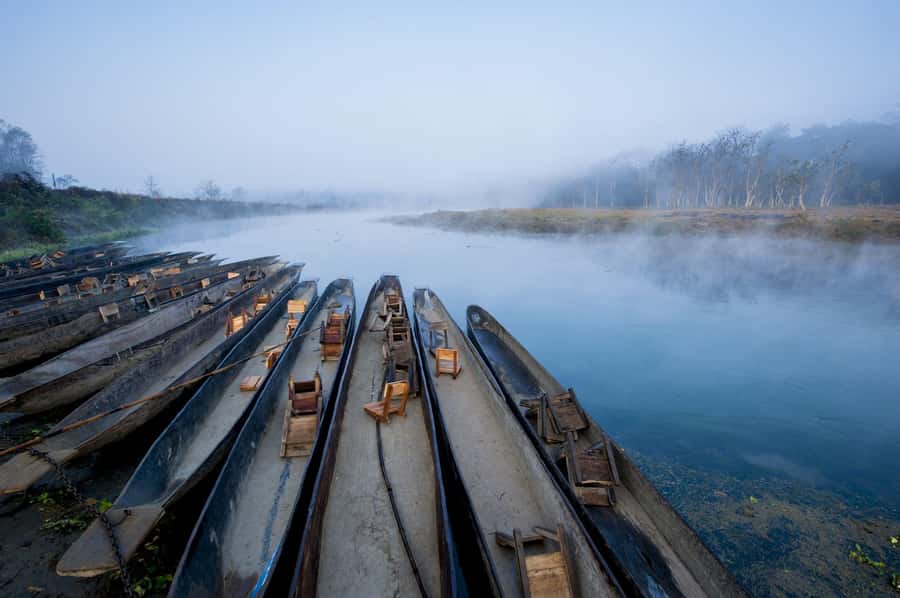 Chitwan: Jungle Safari Tour with Canoe Ride in Forest River - Why three days in Chitwan works well