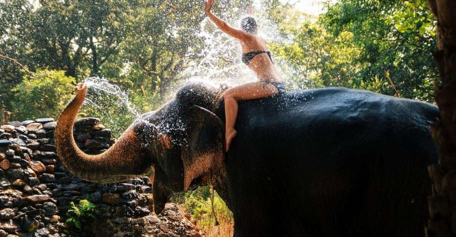 Chitwan: Jungle Safari Tour with Canoe Ride in Forest River - Gharial conservation and the river canoe