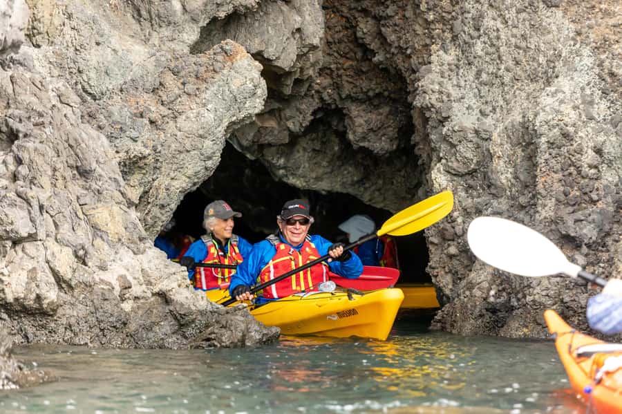 Christchurch: Sea Kayaking Tour of Lyttelton Harbour - From Cathedral Square to Lyttelton Harbour