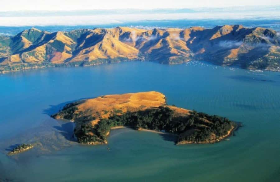 Christchurch: Sea Kayaking Tour of Lyttelton Harbour - Booking Advice for an Eight-Hour Harbour Day
