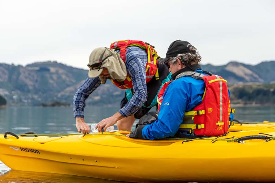 Christchurch: Sea Kayaking Tour of Lyttelton Harbour - How Much Paddling Should You Expect?