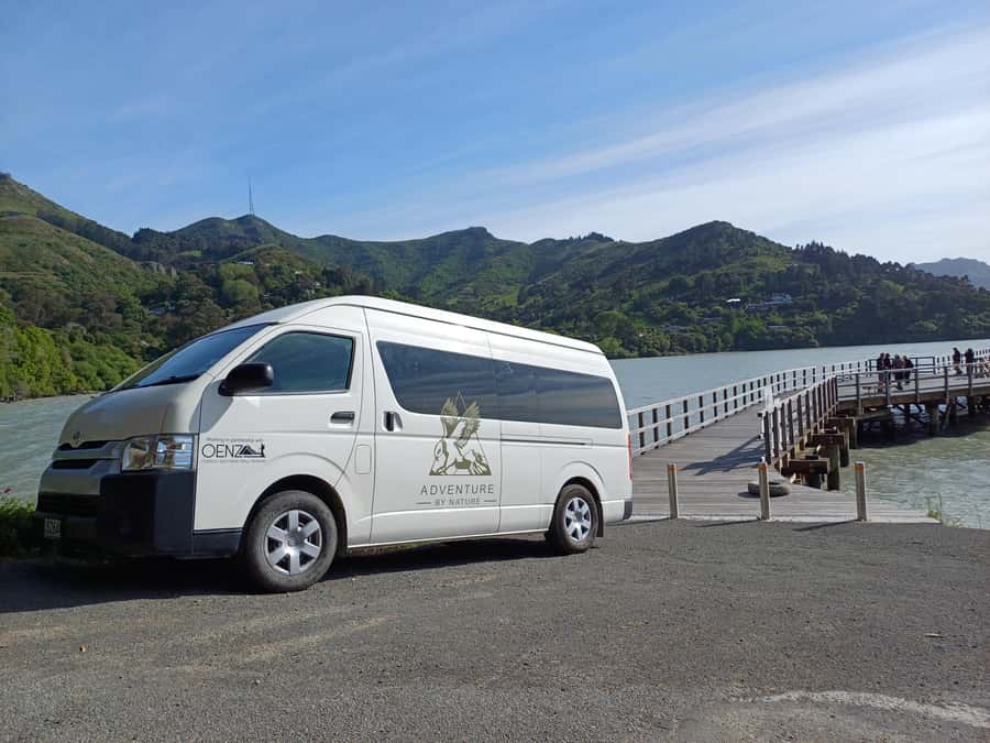 Christchurch: Sea Kayaking Tour of Lyttelton Harbour - What the $268 Price Covers
