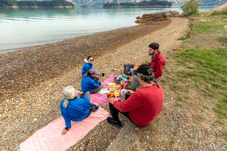 Christchurch: Sea Kayaking Tour of Lyttelton Harbour - Who Will Enjoy This Most?