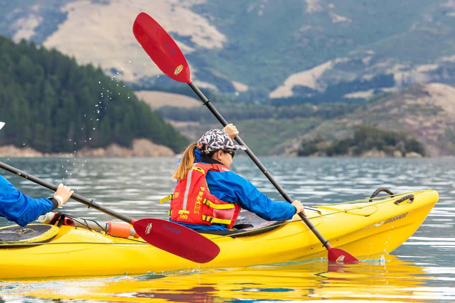 Christchurch: Sea Kayaking Tour of Lyttelton Harbour - Small Bays and Cliffs Inside the Crater