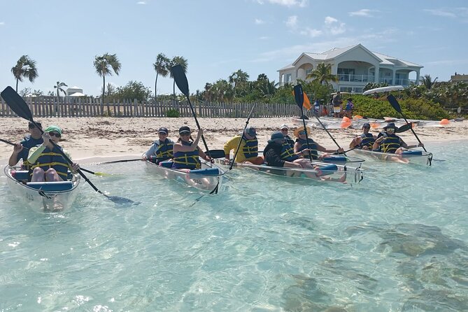 Clear Bottom Kayaks Mangrove Tour - Looking through the clear kayak