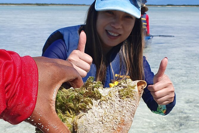Clear Bottom Kayaks Mangrove Tour - Is $125 a fair price?