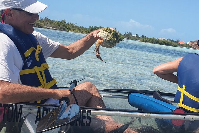 Clear Bottom Kayaks Mangrove Tour - Who will enjoy this most