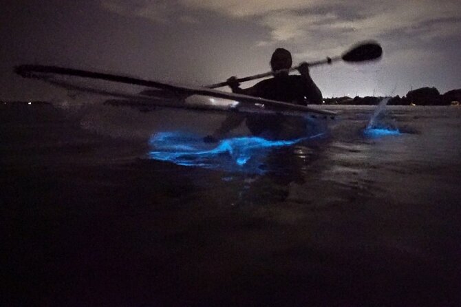 Clear Kayak Bioluminescence Tour - Key points to know before you paddle