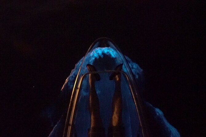 Clear Kayak Bioluminescence Tour - Getting to Haulover Canal near Mims