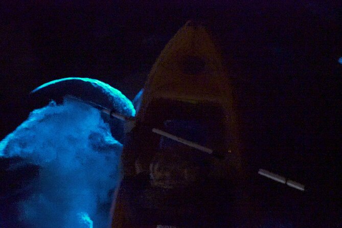Clear Kayak Bioluminescence Tour - Bioluminescence, comb jellies, and the role of the moon