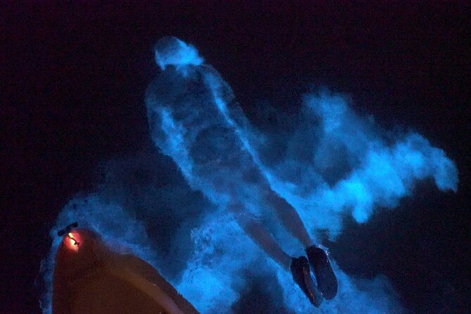 Clear Kayak Bioluminescence Tour - Wildlife and unexpected bonuses on the canal