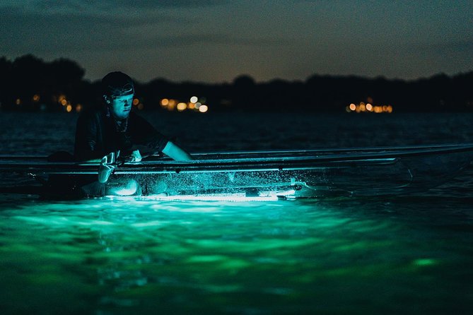 Clear Kayak Glow in the Dark Tour Through Winter Park - What the glowing kayak experience is really like