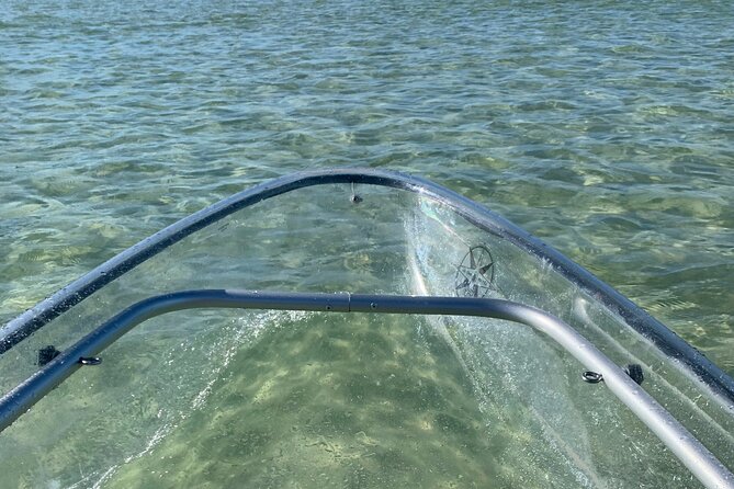 Clear Kayak Guided Eco Tour in North Naples - Watching for dolphins, manatees, and birds