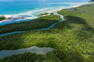 Clear Kayak Guided Eco Tour in North Naples