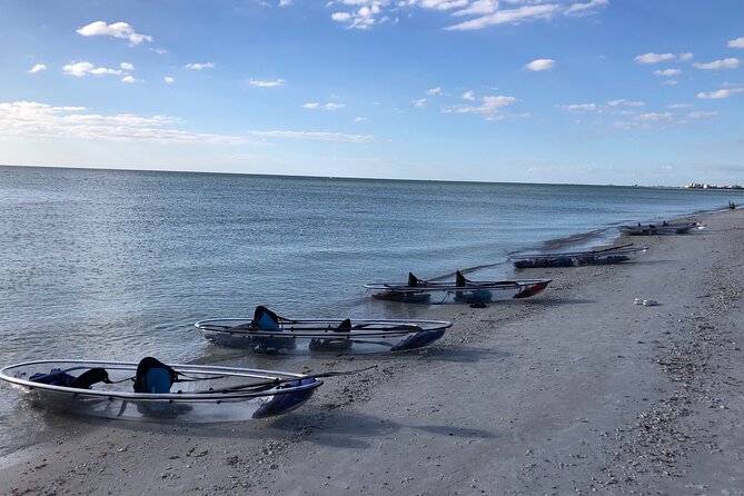 Clear Kayak Guided Eco Tour in North Naples - Who will enjoy this North Naples tour