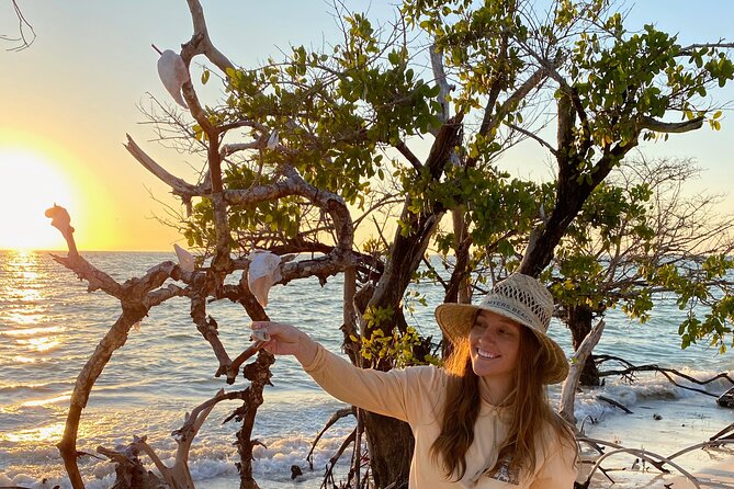 Clear Kayak Guided Eco Tour in North Naples - How to get the most from the 2.5-hour outing