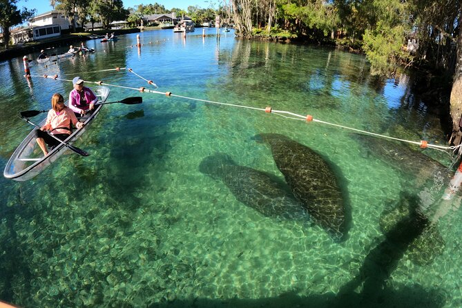 Clear Kayak Manatee Ecotour of Crystal River - Getting Ready at the Crystal River Launch