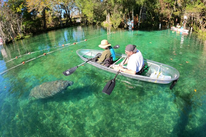 Clear Kayak Manatee Ecotour of Crystal River - What the Two-Hour Paddle Is Really Like