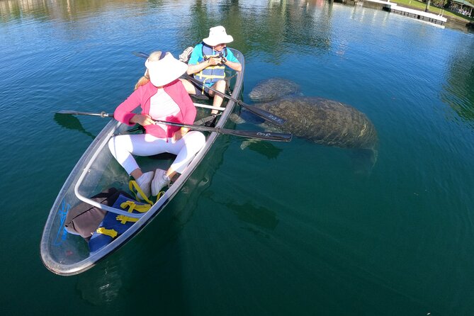 Clear Kayak Manatee Ecotour of Crystal River - Guides Make the Difference