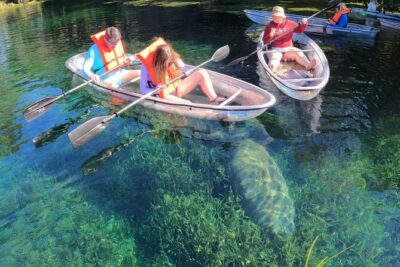 Clear Kayak Manatee Ecotour of Crystal River