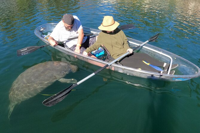 Clear Kayak Manatee Ecotour of Crystal River - What to Wear and Bring
