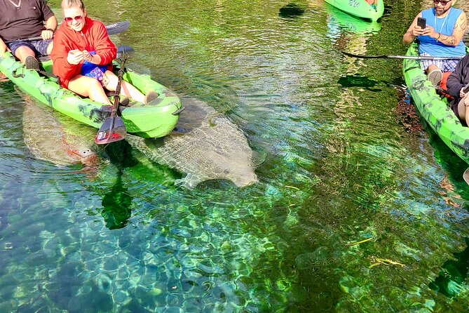 Clear Kayak or Paddleboard Manatee Adventure - What the $80 price really covers