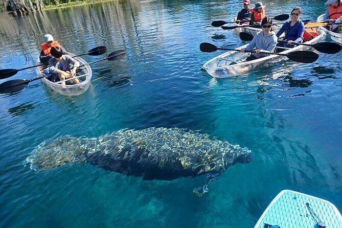 Clear Kayak or Paddleboard Manatee Adventure - Meeting at the park without confusion