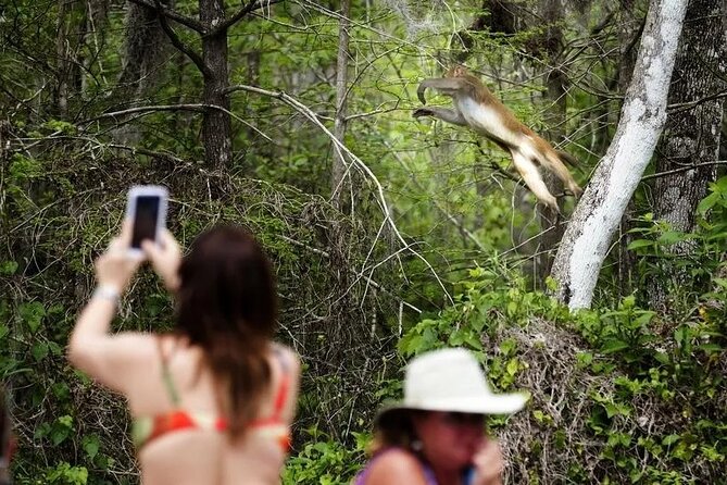 Clear Kayak or Paddleboard Manatee Adventure - What happens on the Fort King trail