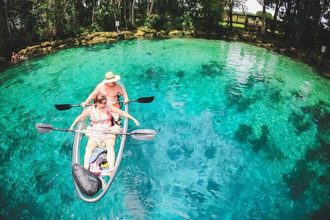Clear Kayak Three Sisters Springs & Manatee Tour Of Crystal River - Key points before you book