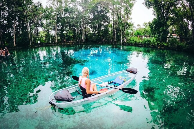 Clear Kayak Three Sisters Springs & Manatee Tour Of Crystal River - Why the clear kayak changes the view