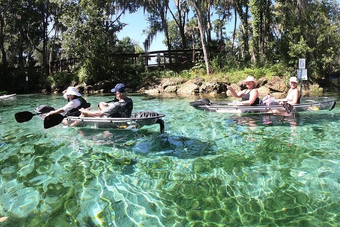 Clear Kayak Three Sisters Springs & Manatee Tour Of Crystal River - Is $89 a fair price?