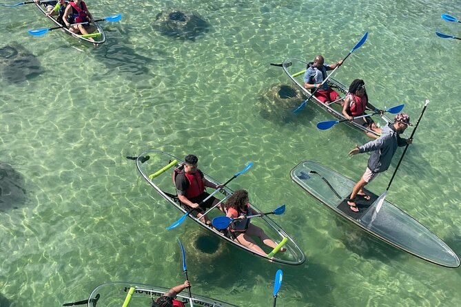 Clear Kayak Tour in Condado Lagoon - Key points before you paddle