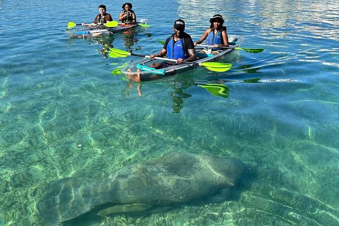 Clear Kayak Tour in Condado Lagoon - Meeting near Condado Beach