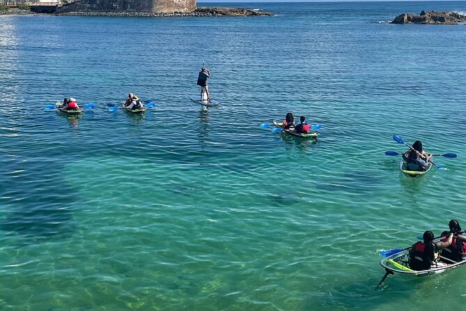 Clear Kayak Tour in Condado Lagoon - Looking through the kayak for wildlife