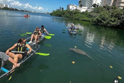 Clear Kayak Tour in Condado Lagoon