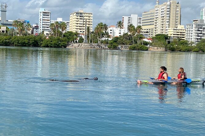 Clear Kayak Tour in Condado Lagoon - Guides who make first-time paddling easier